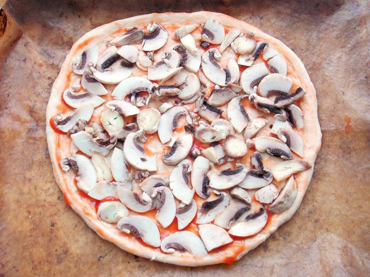 как приготовить пиццу только из колбасы и грибов фото 117