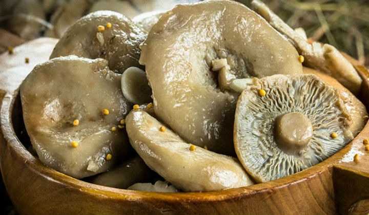 Как солить грибы на зиму в банках простой рецепт