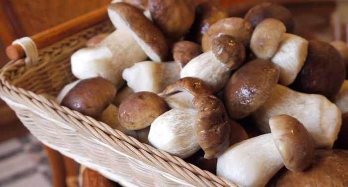 Чем полезны маринованные грибы для человека