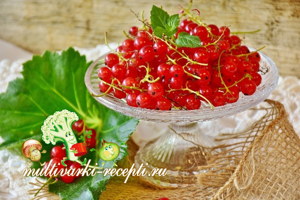Варенье из смородины без варки - рецепты ягод протертых с сахаром на зиму