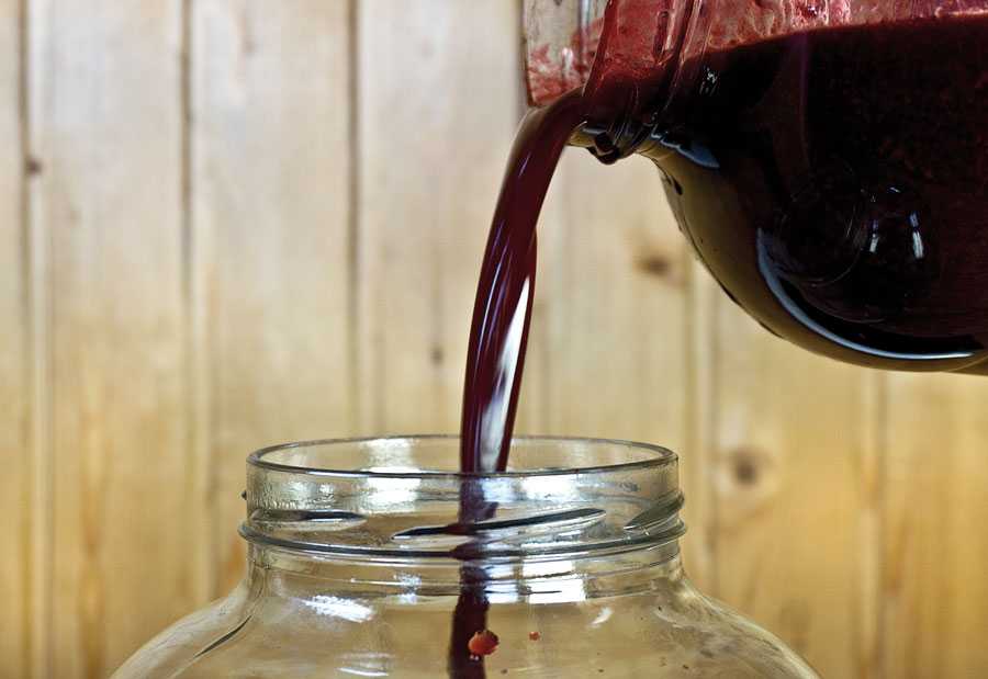 Как приготовить вино из морошки в домашних условиях. Рецепты вина с добавлением дрожжей и без них. Как правильно хранить морошковое вино.