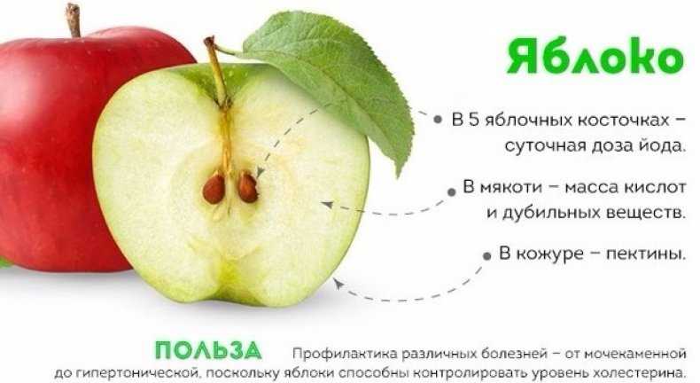 Моченые яблоки: польза и вред, калорийность, сколько можно