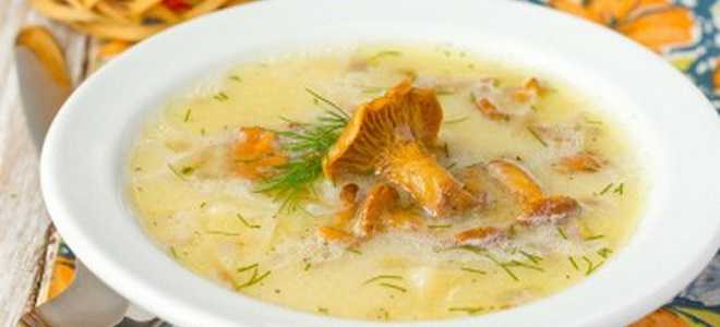 Грибной сливочный суп – вкус франции на каждой кухне: рецепт с фото и видео