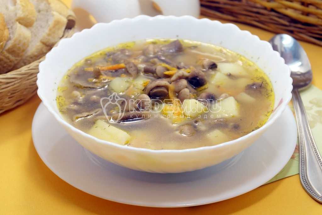 Грибной суп из замороженных грибов | 5 рецептов приготовления