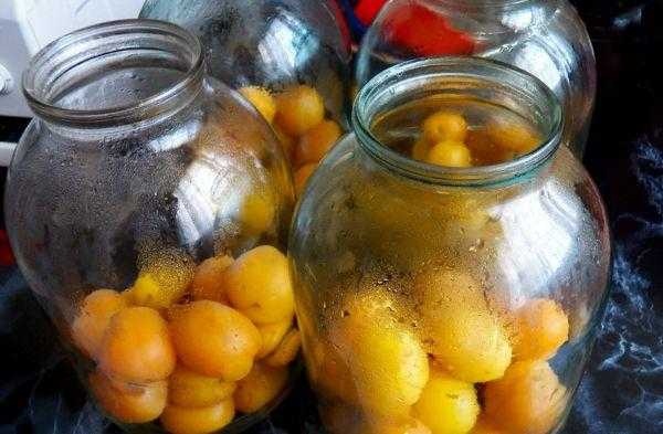 Апельсины на зиму: 53 рецепта заготовок » сусеки