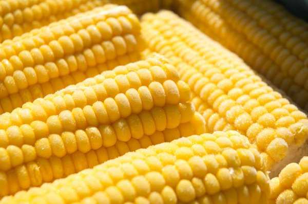 Как консервировать кукурузу на зиму в домашних условиях: самые вкусные рецепты заготовок