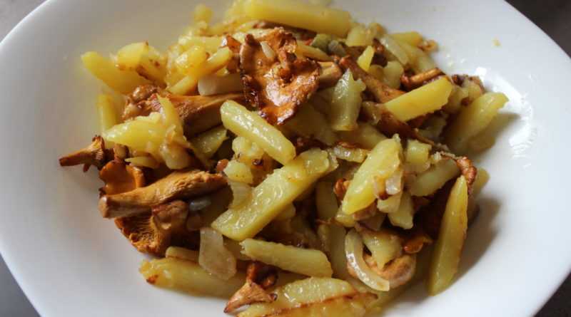 Картошка с лисичками - рецепты на сковороде, в духовке и в мультиварке со сметаной и мясом