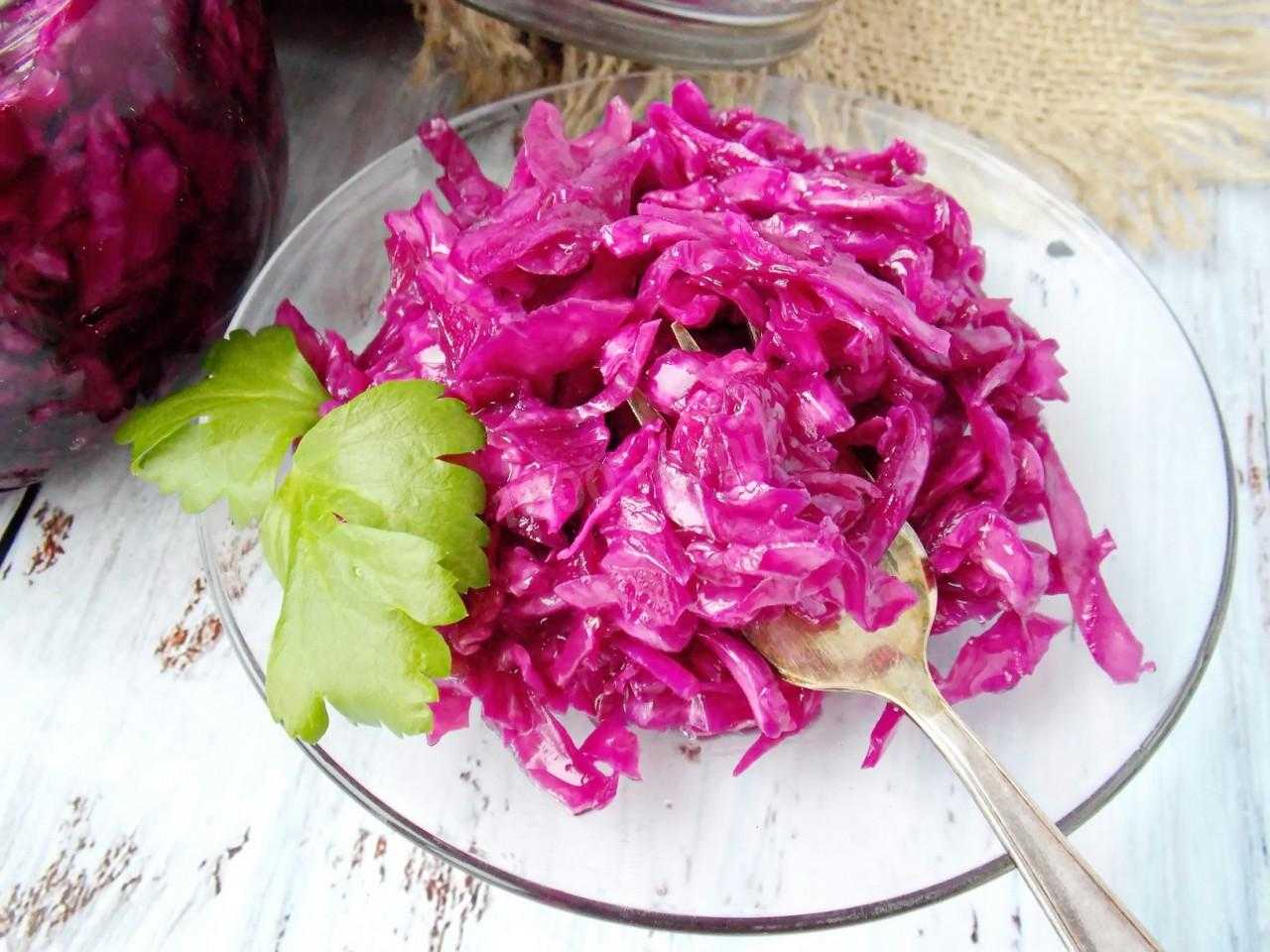 Салат из синей капусты » рецепты - готовим дома | «наобед.kz»