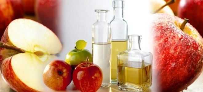 Готовим яблочный уксус в домашних условиях: 5 лучших рецептов