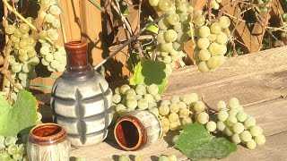 Рецепт приготовления чачи из винограда в домашних условиях, способ изготовления и очистки виноградного напитка