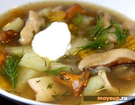 Как сварить суп грибной суп из замороженных грибов по пошаговому рецепту с фото