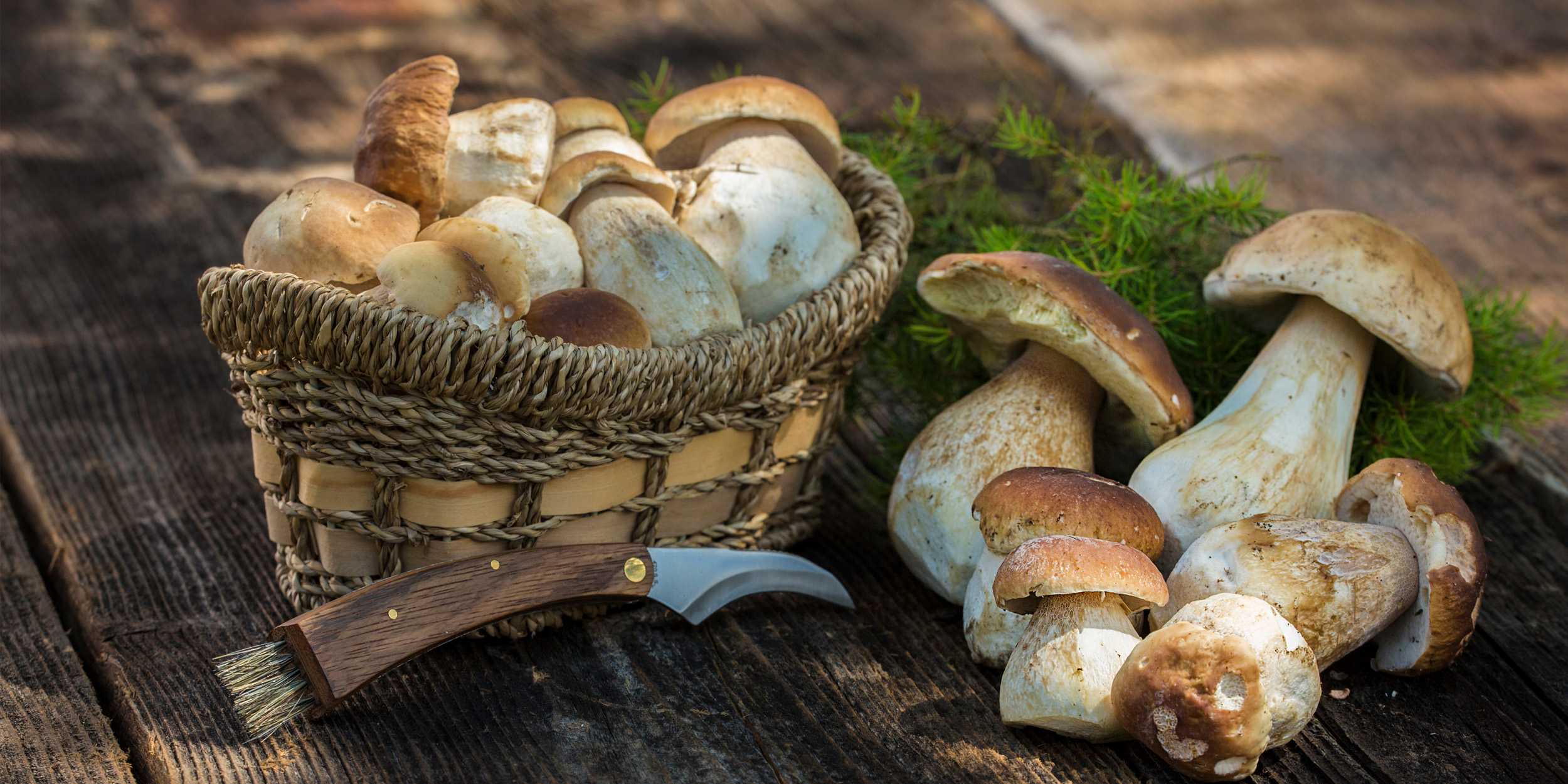 Как готовить замороженные белые грибы свежие. замороженные белые грибы как готовить.