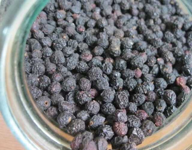 Самогон на черемухе: перкрасные настойки из свежих и сухих ягод