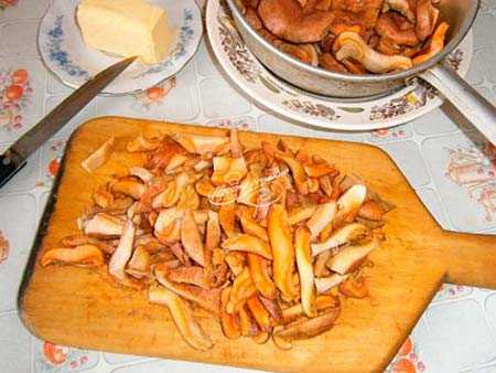 Как готовить рыжики: простые рецепты блюд с грибами