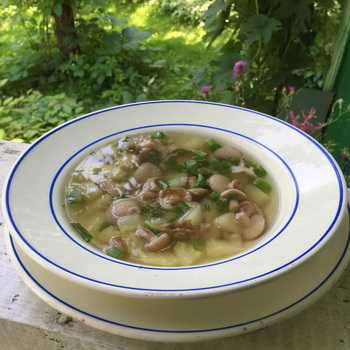 Пошаговый рецепт приготовления грибного супа из замороженных грибов