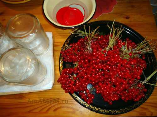 Рецепты из калины: способы заготовки, что можно приготовить из красной ягоды на зиму