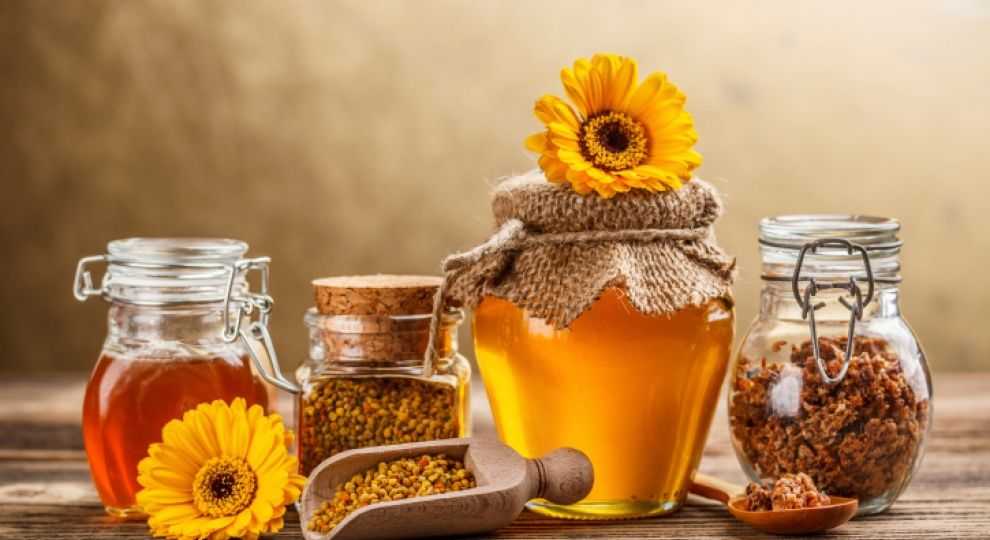Каштановый мед свойства, польза и противопоказания