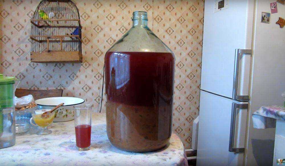 Как приготовить брагу из березового сока в домашних условиях