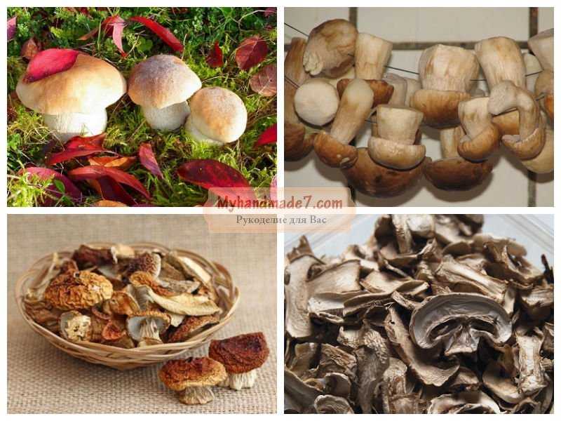Как правильно и вкусно приготовить сушеные, белые грибы