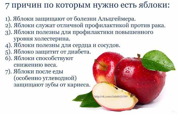 Польза и вред моченых яблок, рецепт приготовления в домашних условиях | zaslonovgrad.ru