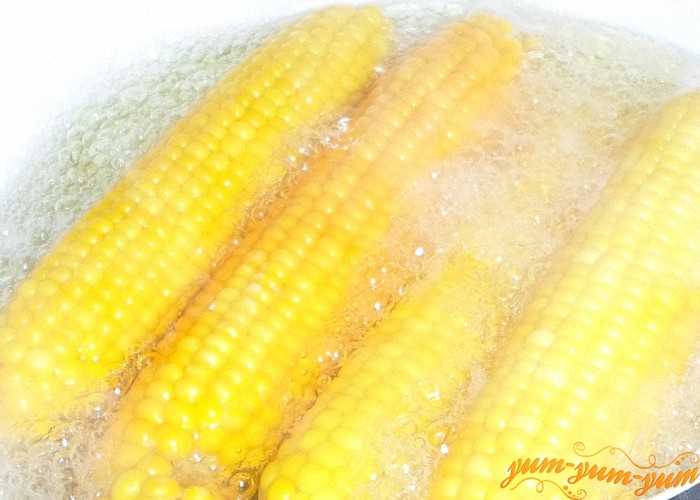 ✅ сколько варить замороженную кукурузу в зернах - питомник46.рф