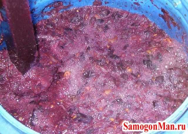 Как сделать чачу из жмыха винограда? технология изготовления, разлив и хранение