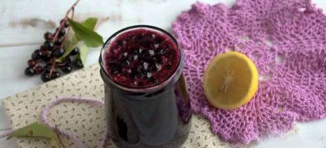 Красная черемуха: рецепты на зиму, что можно приготовить с фото и видео