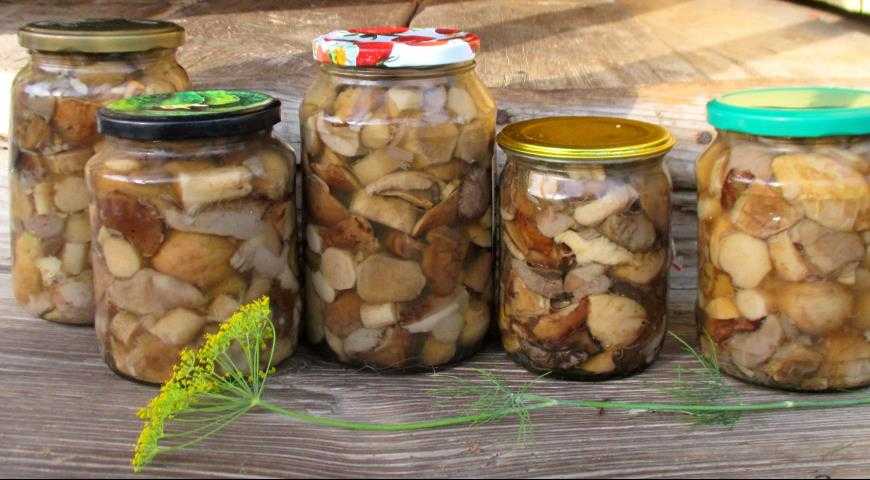 Рассол для грибов маринованных. маринованные шампиньоны в домашних условиях — 7 очень вкусных рецептов быстрого приготовления