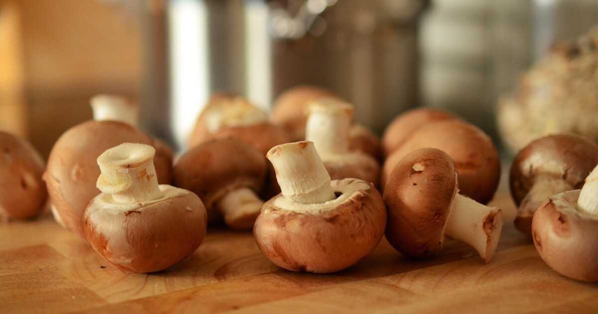 Как заморозить волнушки на зиму: правила подготовки можно ли заготавливать свежие грибы Заморозка тушеных отварных жареных и пропаренных млечников