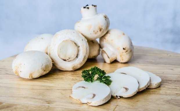 Можно ли жарить консервированные шампиньоны в банках - рецепты приготовления блюд из маринованых грибов