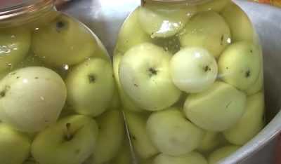 Особенности того, как приготовить мочёные яблоки в домашних условиях, рецепты из яблок антоновка