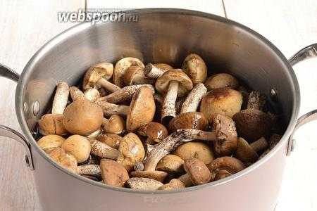 Паштет из грибов: пошаговый рецепт, быстрый и простой от марины выходцевой