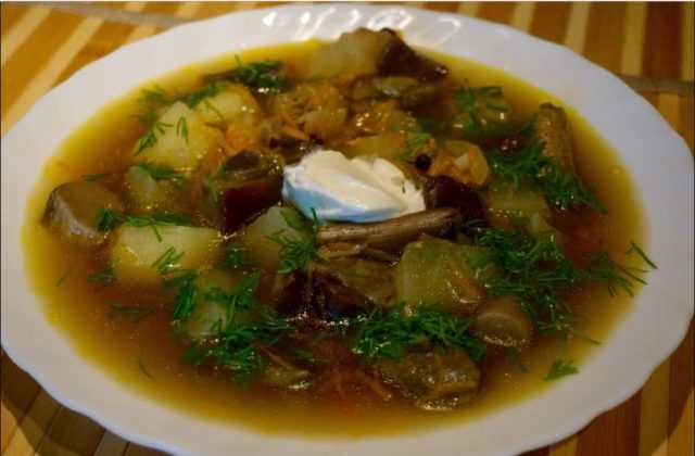 Суп из подосиновиков: рецепты из свежих, замороженных и сушеных грибов