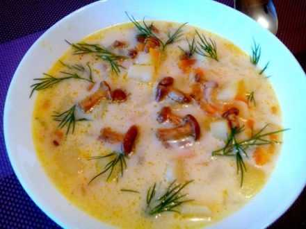 Суп из лисичек замороженных – лучшее горячее блюдо для обеда: рецепт с фото и видео