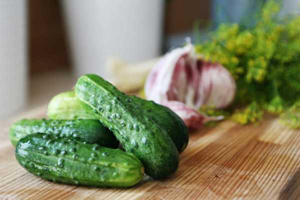 Малосольные овощи ассорти быстрого приготовления в пакете - 11 пошаговых фото в рецепте