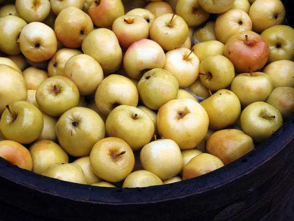 Моченые яблоки на зиму - рецепты