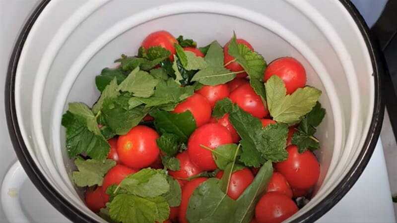 Как приготовить квашеные зелёные помидоры с чесноком и зеленью в кастрюле или в ведре? лучшие рецепты