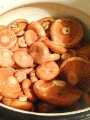 Хранение соленых грибов в домашних условиях. способы закатки