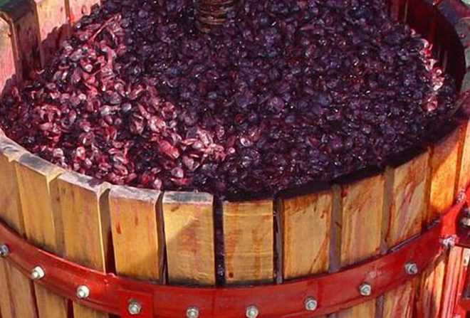 Рецепт чачи из винограда в домашних условиях: особенности и технология приготовления.