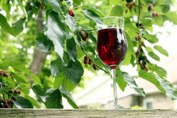 Лечебные свойства малинового вина