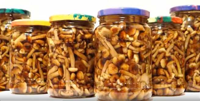 Самые вкусные блюда с маринованными грибами