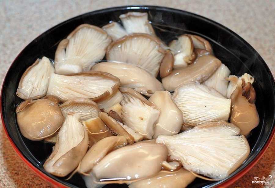 Жареные вешенки: как вкусно приготовить грибы