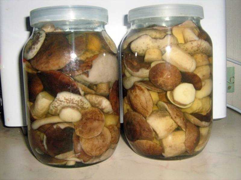 Способы заготовки грибов подосиновиков на зиму