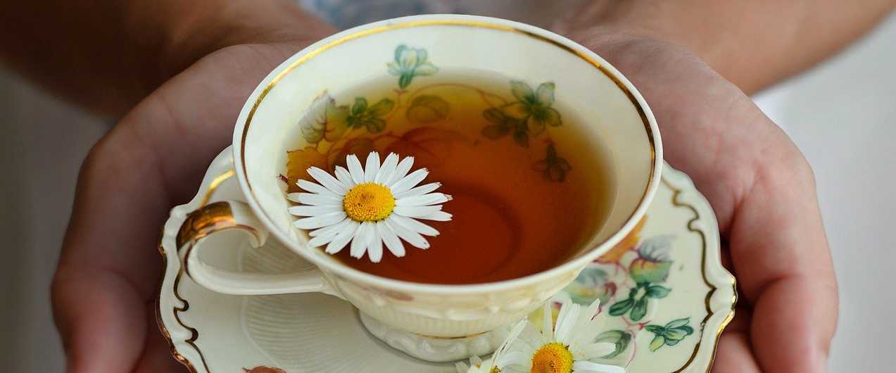 Вред ромашкового чая в пакетиках. Пейте чай из ромашки перед сном. Ромашковый чай при цистите у женщин. Ромашковый чай с персиками и медом. Реклама ромашкового чая.