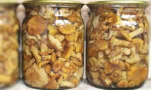 Как правильно заморозить белые грибы на зиму в морозилке в домашних условиях: способы заморозки » сусеки