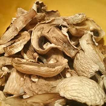 Как засолить грибы валуи правильно и вкусно