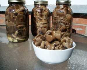 Как засолить опята под гнетом: рецепты засолки грибов на зиму в кастрюле