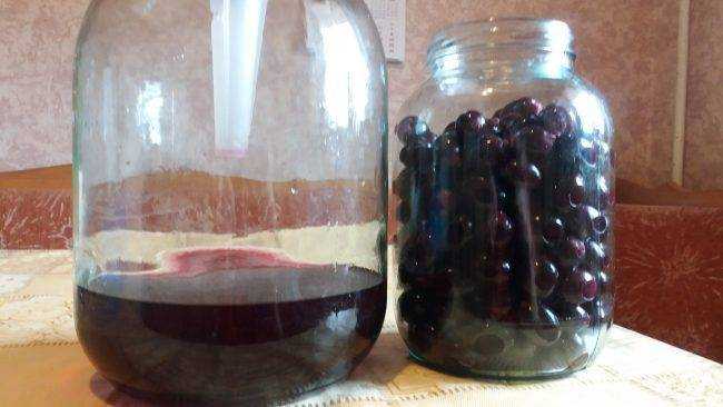 Чача из винограда в домашних условиях – простой рецепт