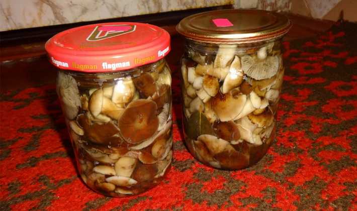 Соление грибов горячим и холодным способами