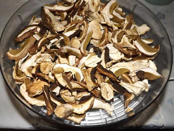 Как сушить белые грибы в домашних условиях на зиму